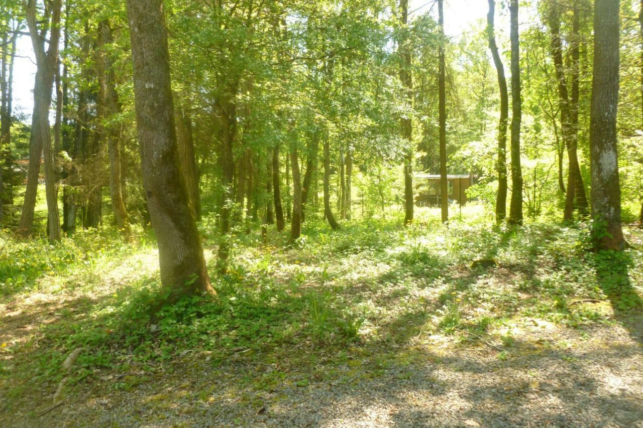 A L'Oree Du Bois Érezée Exteriör bild